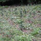 20112308130806-505.jpg
